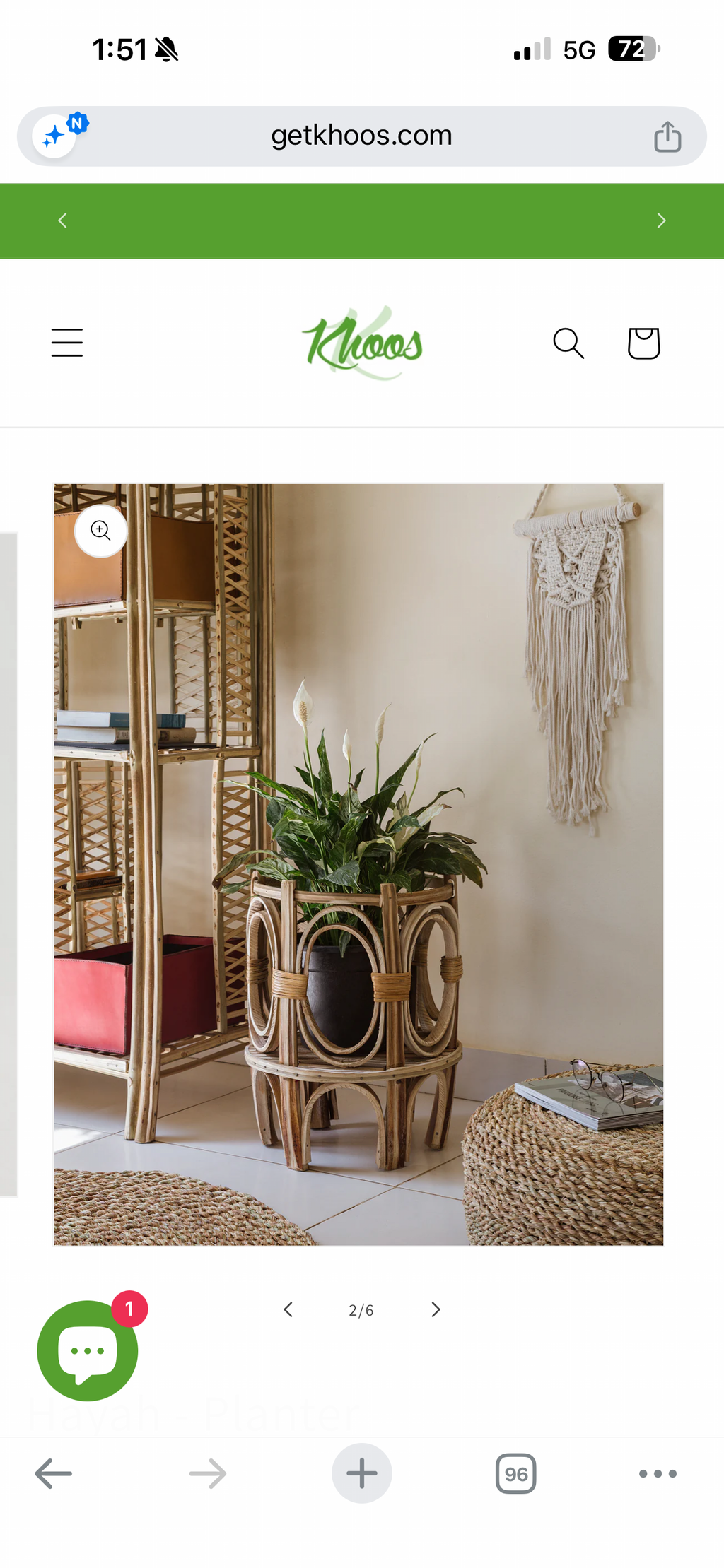 Plant pots