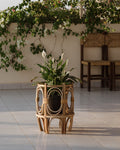 Plant pots