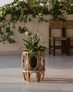 Plant pots