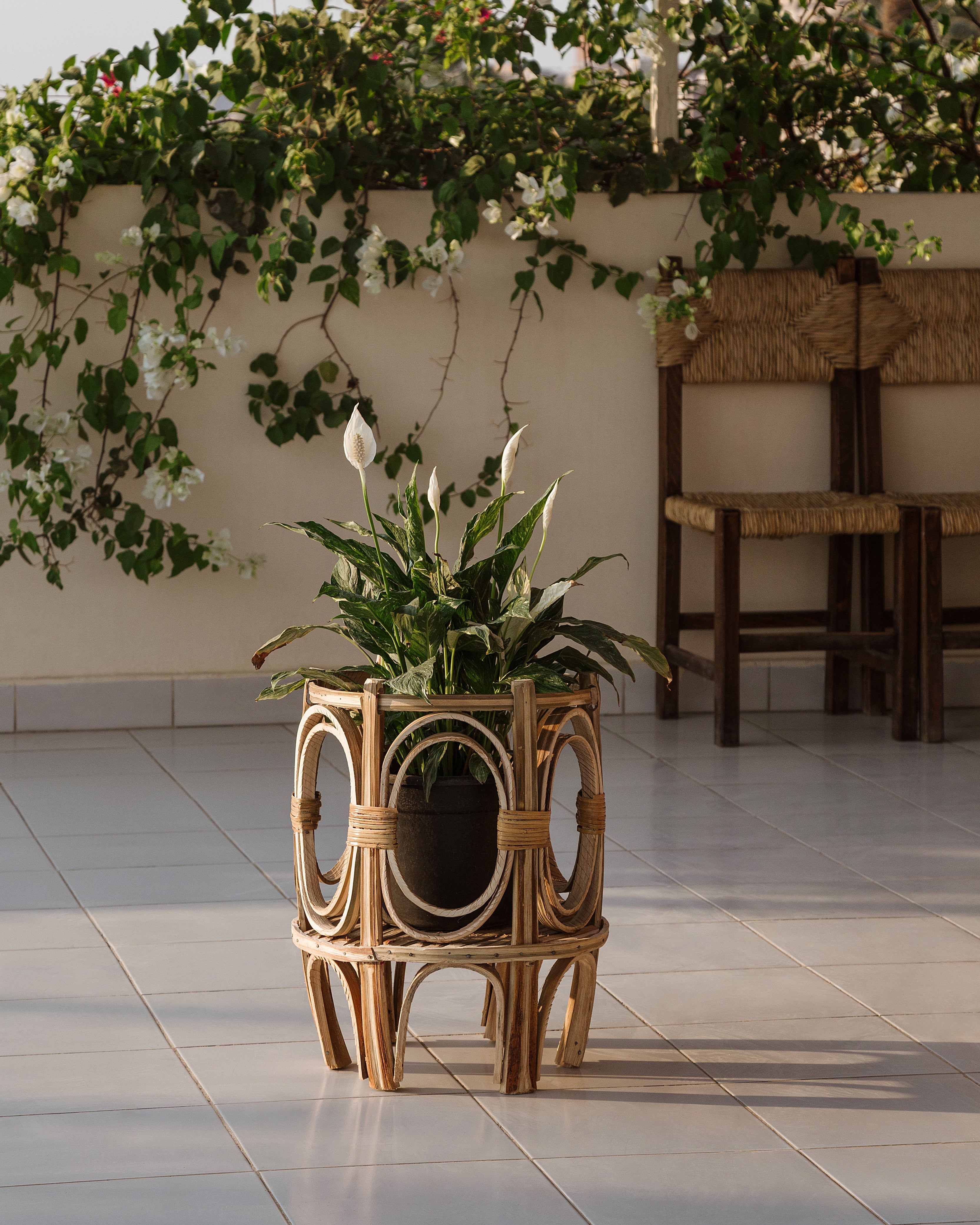 Plant pots